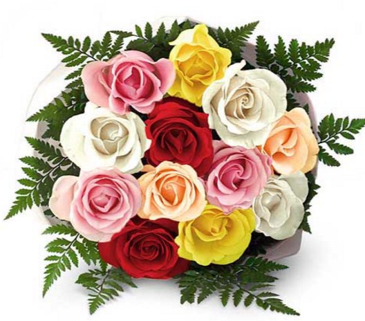 Arti Bunga Berdasarkan Warna Tws Florist
