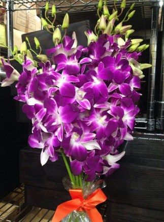 Bunga Anggrek Toko Bunga Online Tws Florist