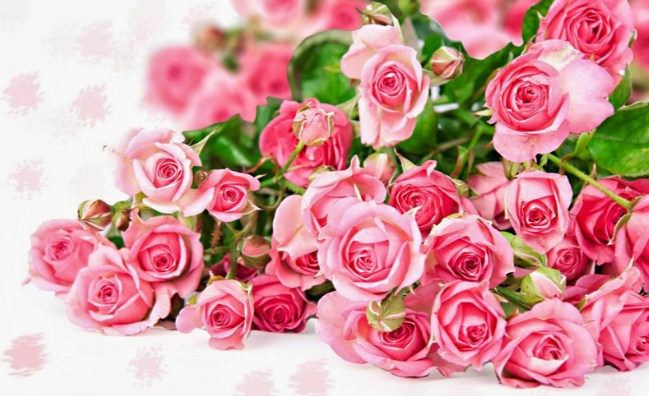 7 Bunga Cantik Dan Wangi Yang Bisa Menjadi Parfum Alami Tws Florist
