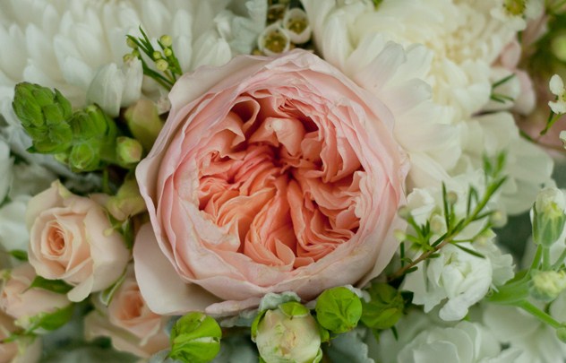 5 Jenis Bunga  Dengan Harga Termahal  di Dunia TWS Florist