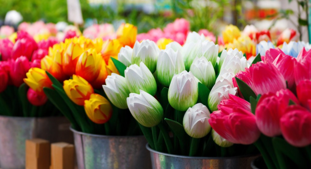 Tips Merangkai Bunga  Tulip  Agar Terlihat Makin Cantik 