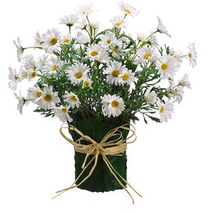 buket-bunga-daisy | Toko Bunga Online | TWS Florist