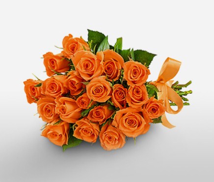 87+ Gambar Bunga Mawar Orange Paling Keren 87+ Gambar Bunga Mawar Orange Paling Keren