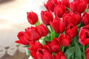 10 Jenis Bunga  Yang Sering Dijadikan Buket Bunga  TWS 