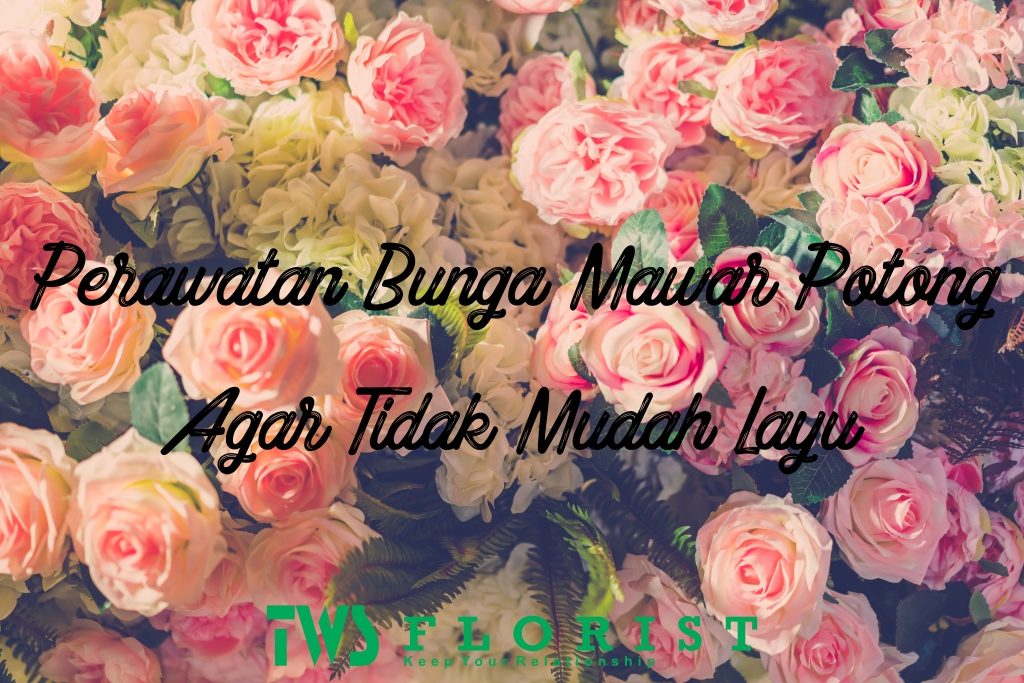 Toko Bunga Jakarta | Toko Bunga Online | TWS Florist