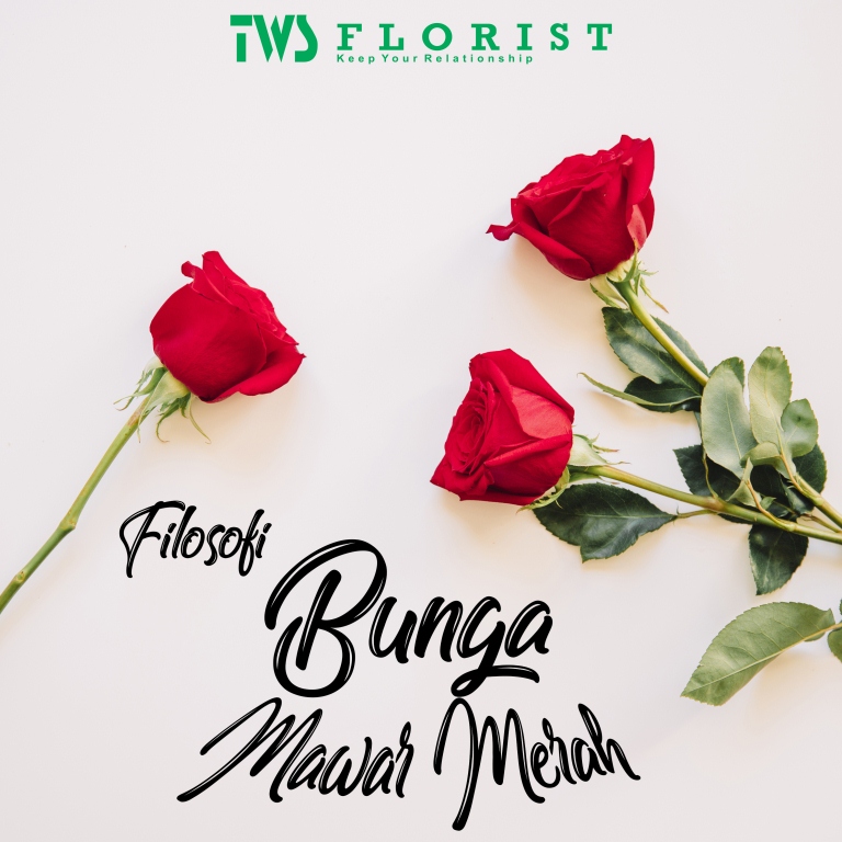  Filosofi Bunga mawar merah  TWS Florist