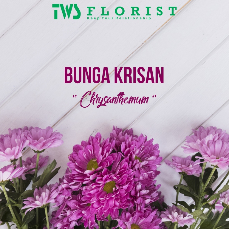  Filosofi  Bunga  Krisan TWS Florist