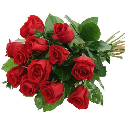 5 Bunga Valentine yang Mengandung Makna Istimewa! TWS Florist