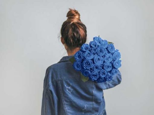 Arti bunga  mawar biru yang memiliki simbol dan makna yang 