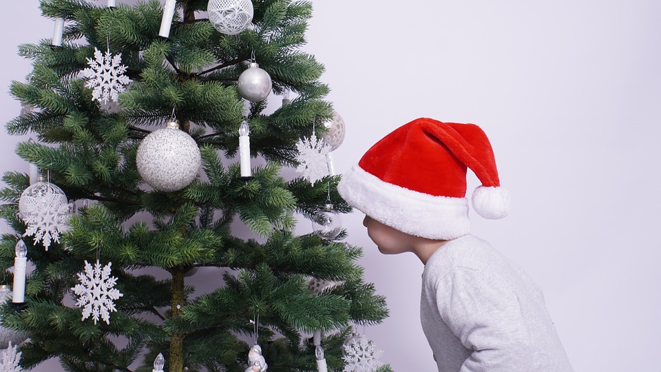 Tanaman Natal
