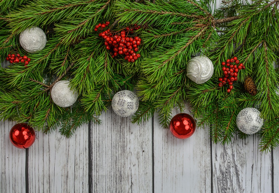 Tanaman Natal